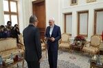 تصاویر دیدارهای امروز ظریف