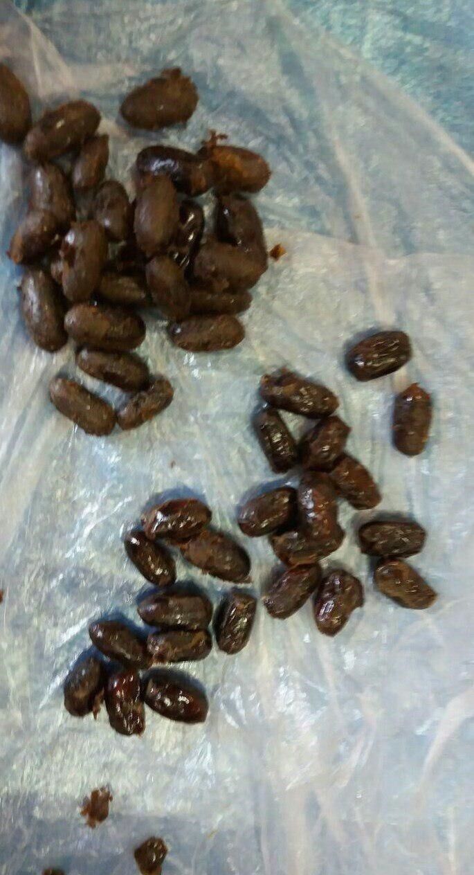 خرما با طعم تریاک! /عکس