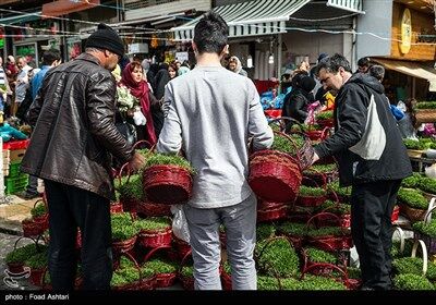 شهر در چند قدمی بهار/تصاویر