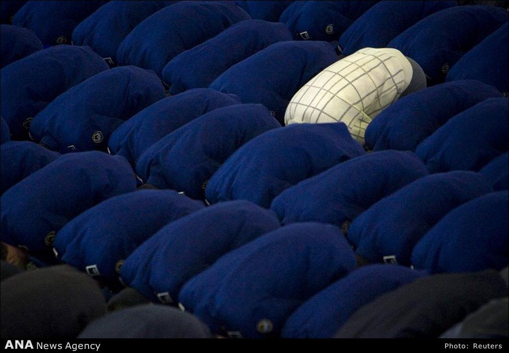متمایز از بقیه /تصاویر