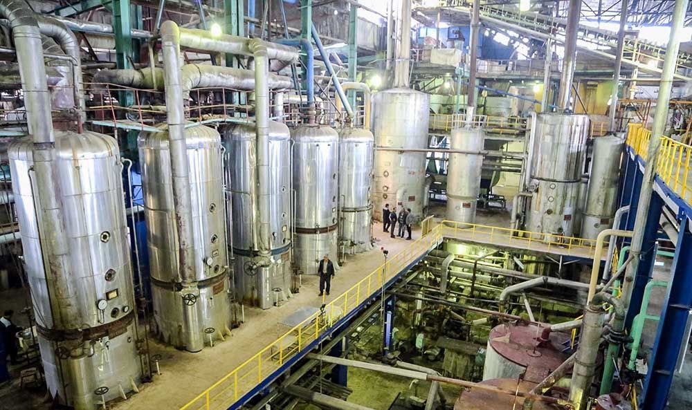 چغندر اینگونه شکر می‌شود/تصاویر