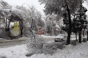 بارش برف شدید در اراک/ تصاویر