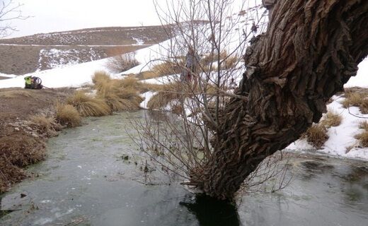 بهورد کجاست؟ + تصاویر