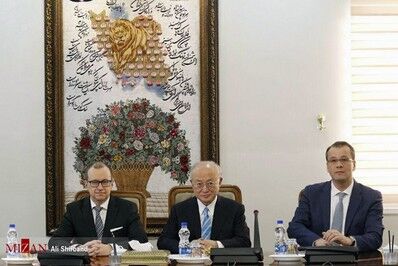 حواشی دیدار صالحی و آمانو /تصاویر