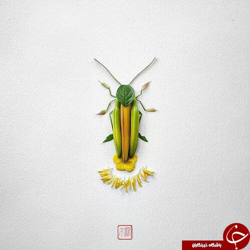 تصاویری از گل هایی که تبدیل به حشره شدند