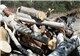 ادامه قطع درختان ورزشگاه آزادی