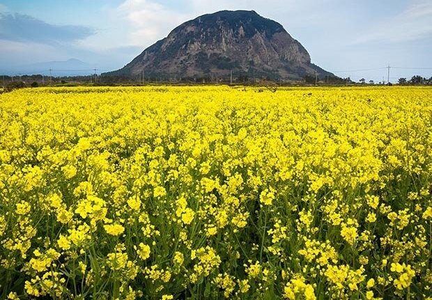 دیدنی‌های منحصربفرد بزرگترین قاره