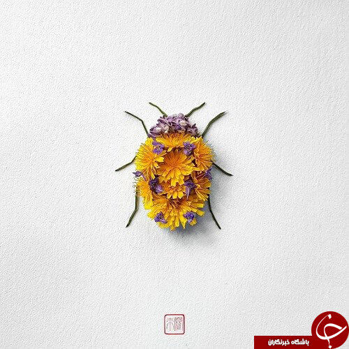 تصاویری از گل هایی که تبدیل به حشره شدند