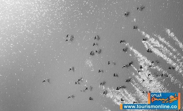 تنهاسرزمین‌دنیاکه6فصل‌دارد/تصاویر