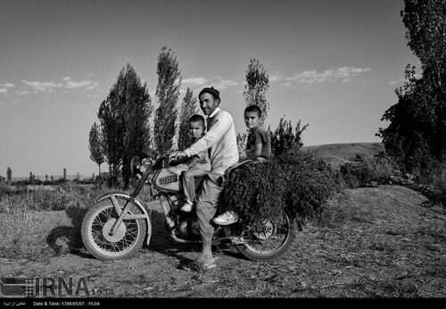 تصاویری از سرزمین های بی آب