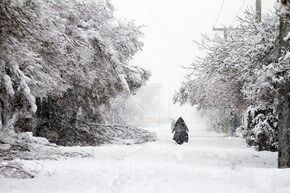 بارش برف شدید در اراک/ تصاویر