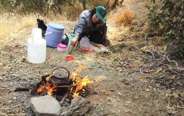 بانوی جنگلبان کردستان/تصاویر