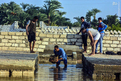 سیل مرگبار در مصر/ تصاویر