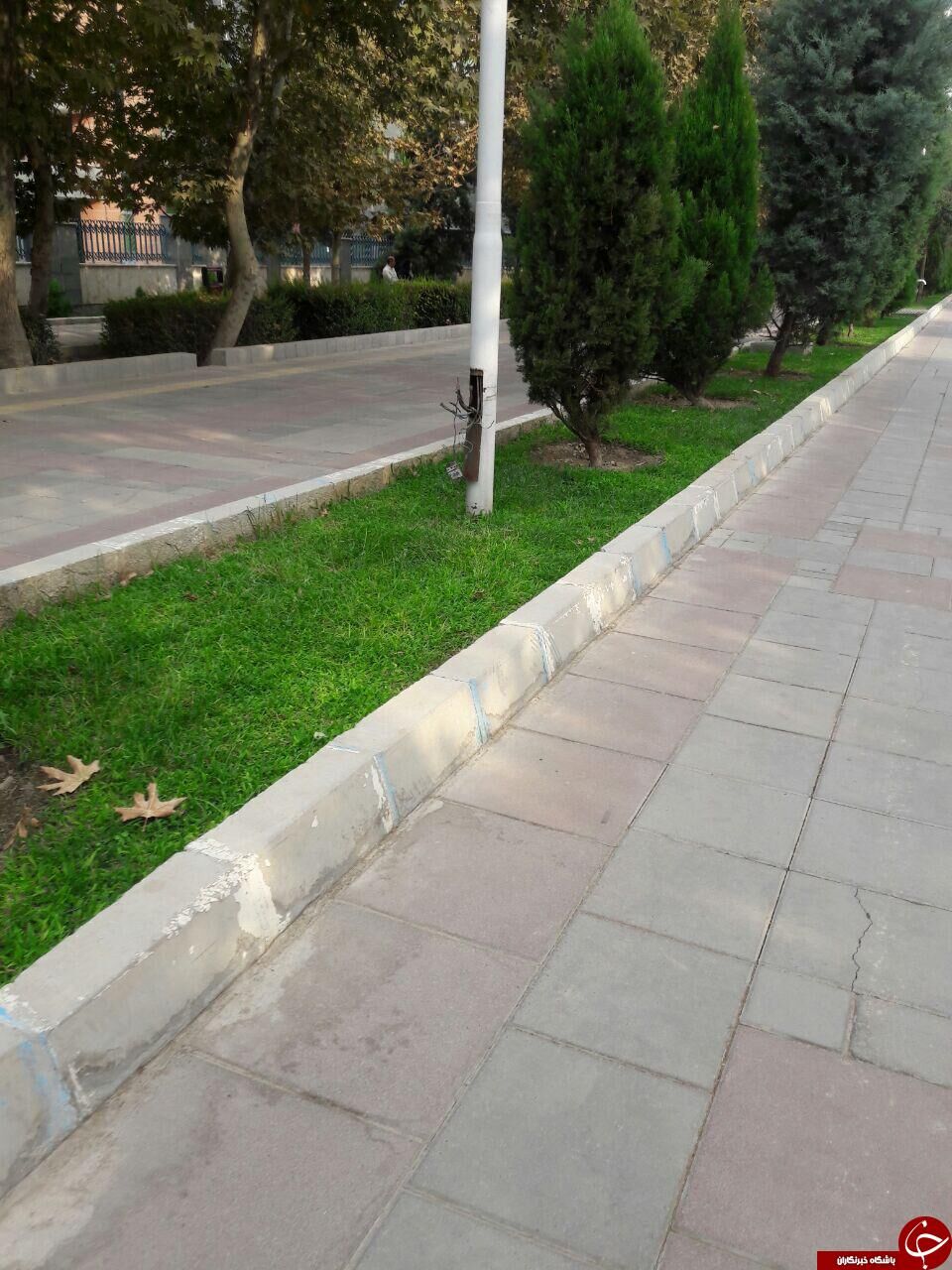 خطر برق‌ گرفتگی درپارک قائم!+تصاویر