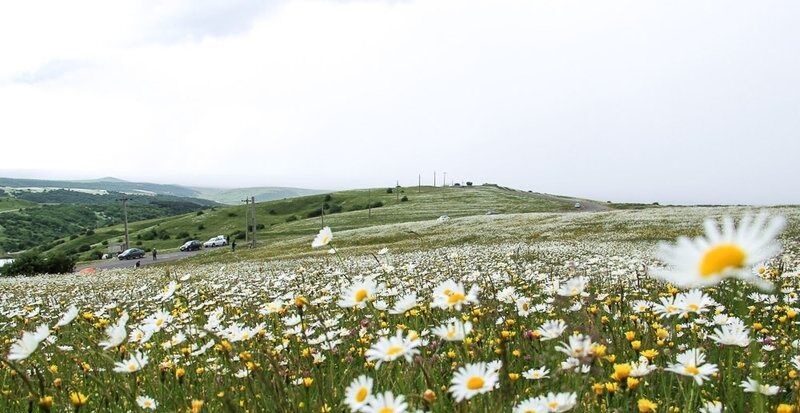 تصاویر طبیعت بهاری اردبیل