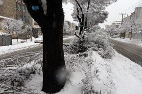 بارش برف شدید در اراک/ تصاویر