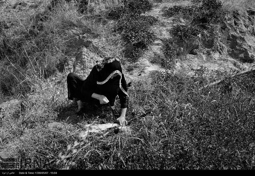 تصاویری از سرزمین های بی آب