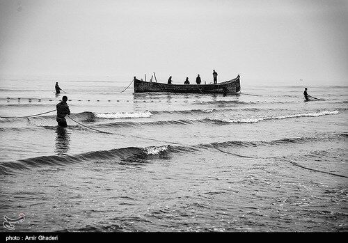 تصاویر دلنشین ماهیگیری در بندرانزلی