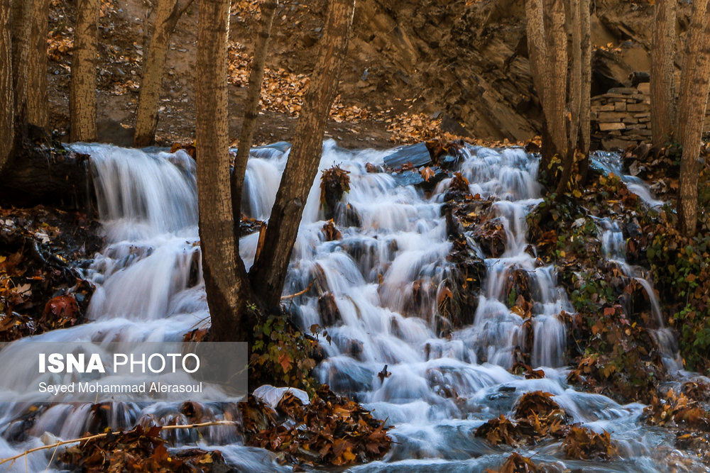 طبیعت پاییزی شاندیز - مشهد/تصاویر