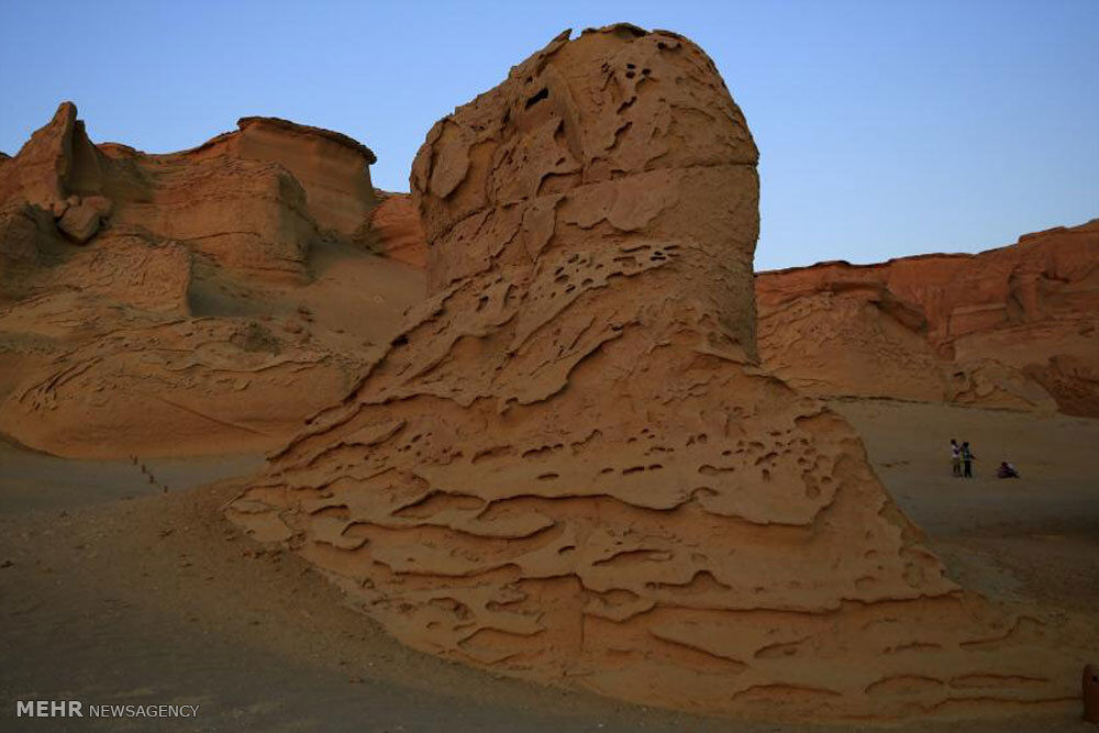 روستای نهنگ ها در مصر /تصاویر