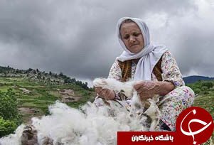 عکس هایی که بوی زندگی می دهد