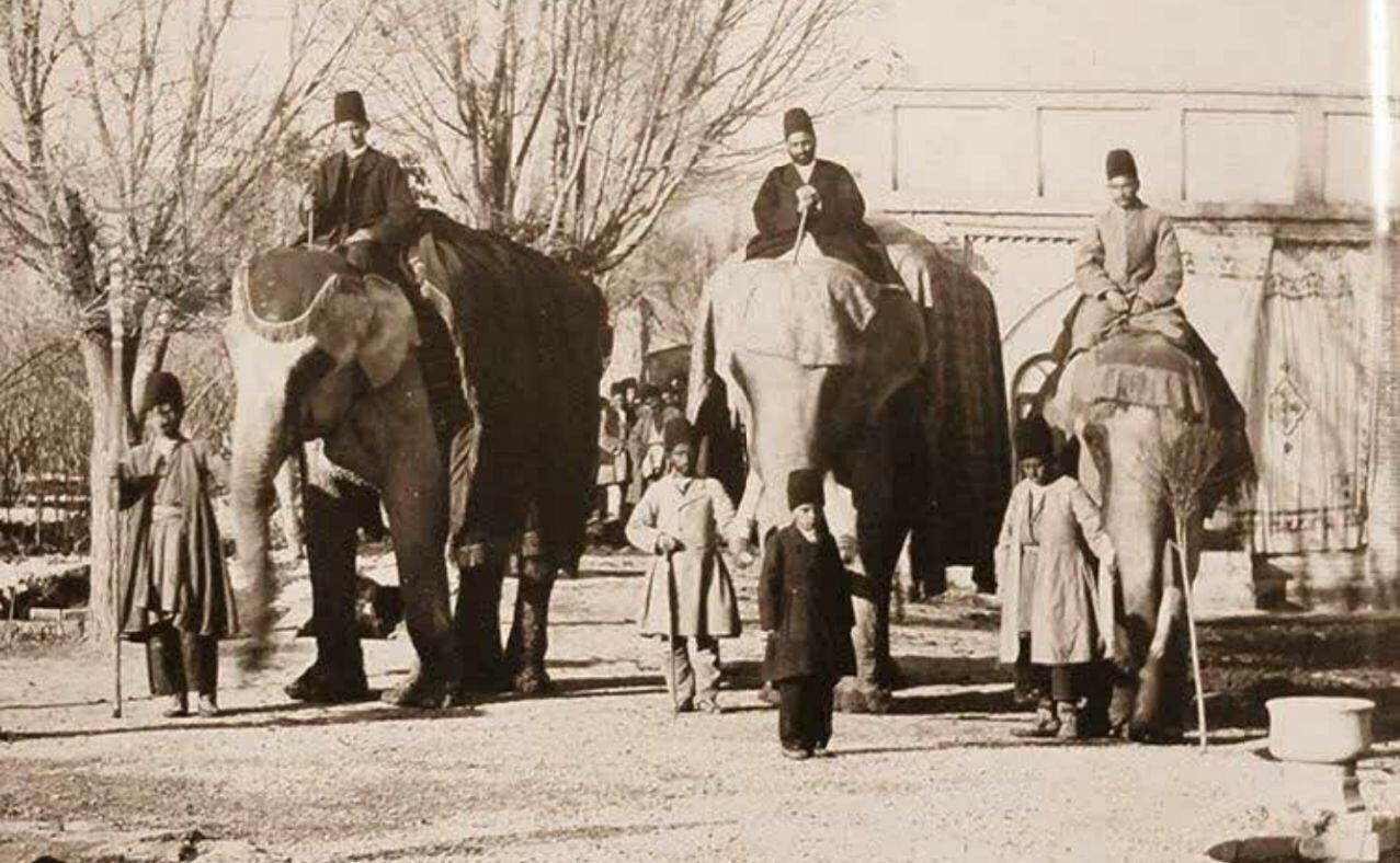 فیل‌ خانه ناصرالدین شاه/عکس