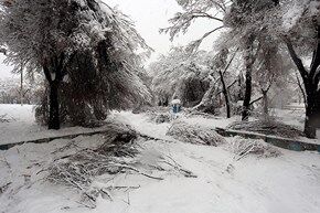 بارش برف شدید در اراک/ تصاویر
