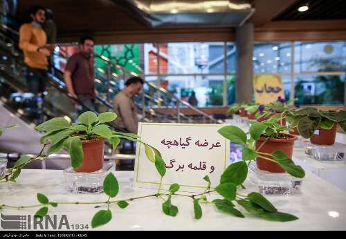 نمایشگاه فصلی گل و گیاه تهران/تصاویر
