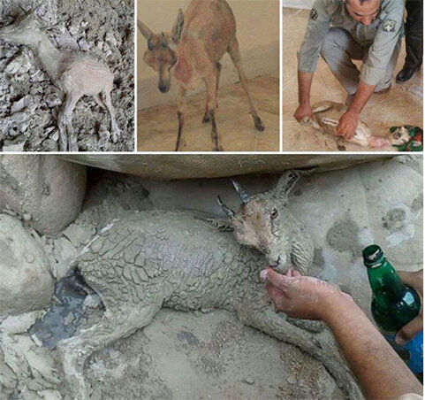 عکسی تکان‎دهنده دراینستاگرام اوتادی
