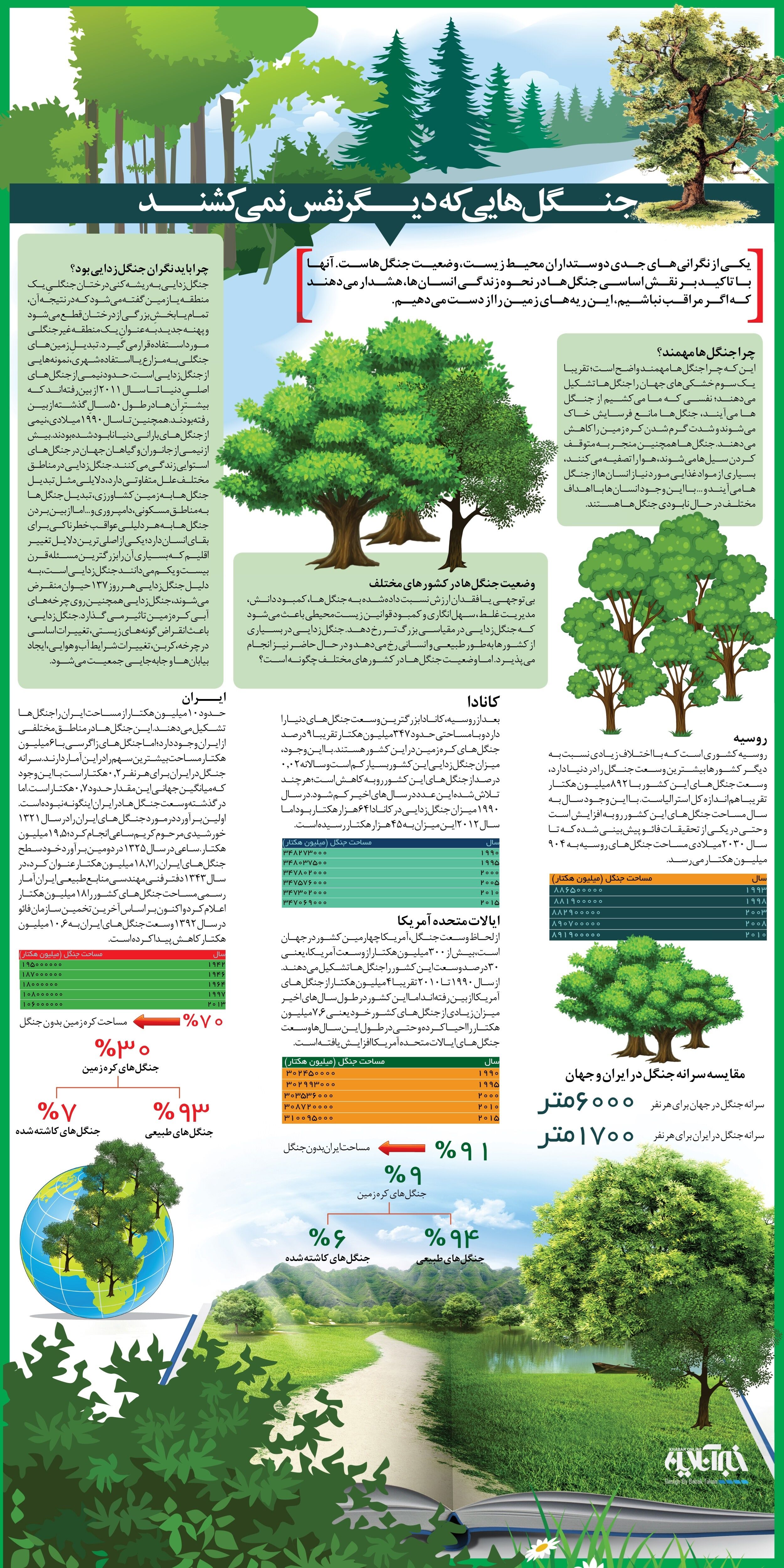 جنگل‌هایی که دیگر نفس نمی‌کشند
