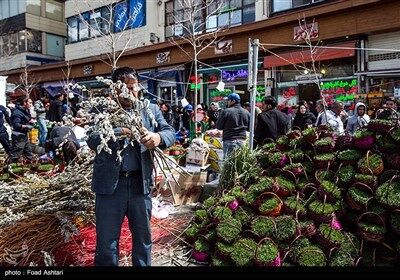 شهر در چند قدمی بهار/تصاویر