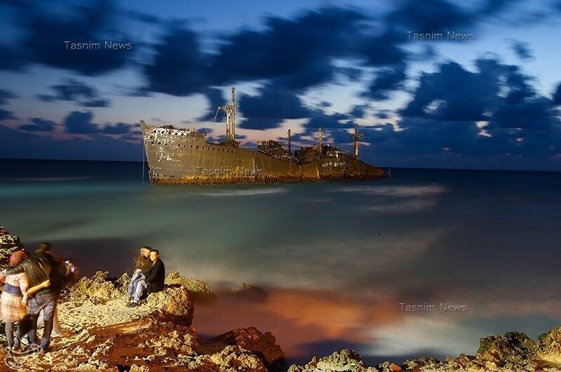 مهمان ناخوانده جزیره کیش/تصاویر