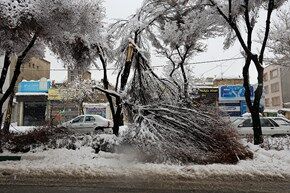بارش برف شدید در اراک/ تصاویر