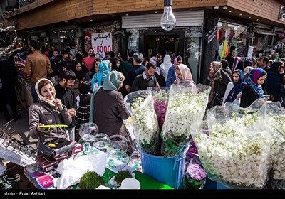شهر در چند قدمی بهار/تصاویر